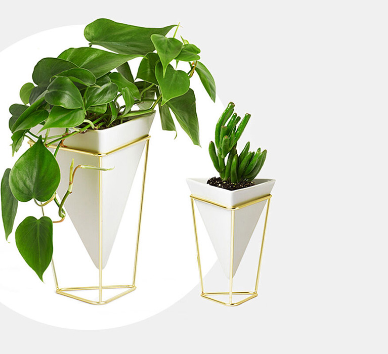Plant 02 Plant 02